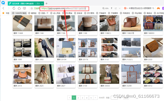 在标签页上复制又拍相册链接